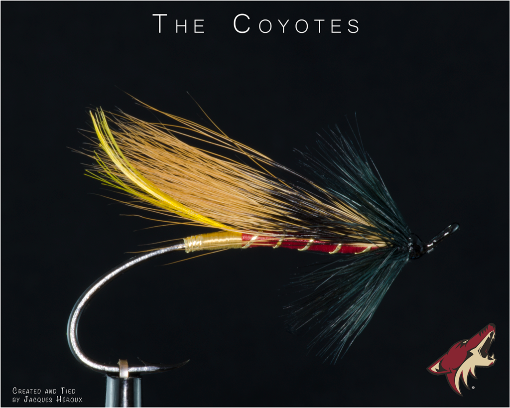 Coyotes